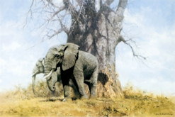 Baobab and Friends - David Shepherd