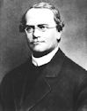Gregor Mendel